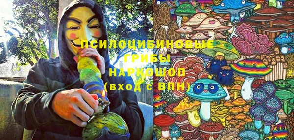 прущий лед Володарск