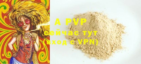 крисы Ельня